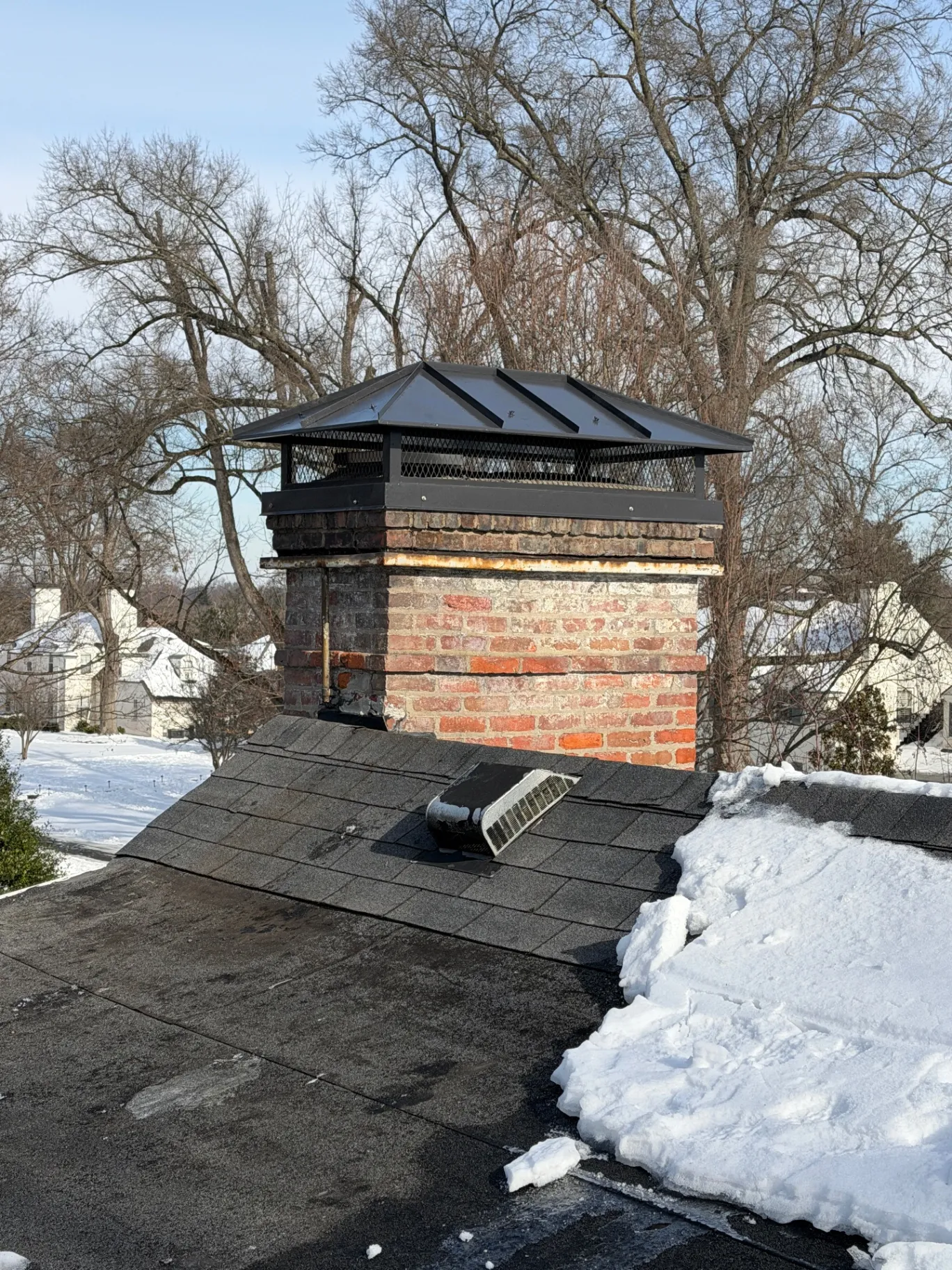 Chimney Cap Installation to Stop Animal Entry — After